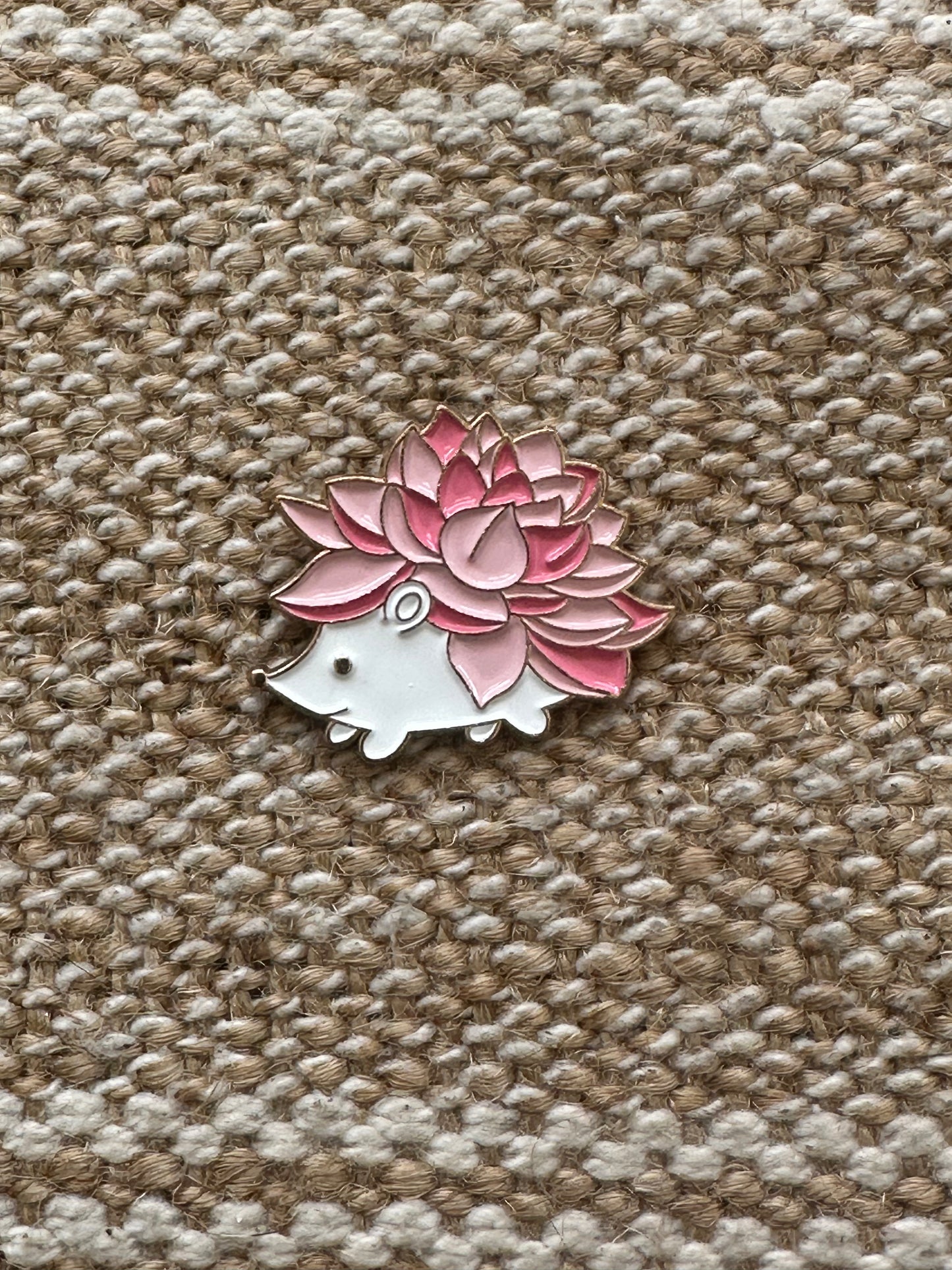 Hedgehog!
