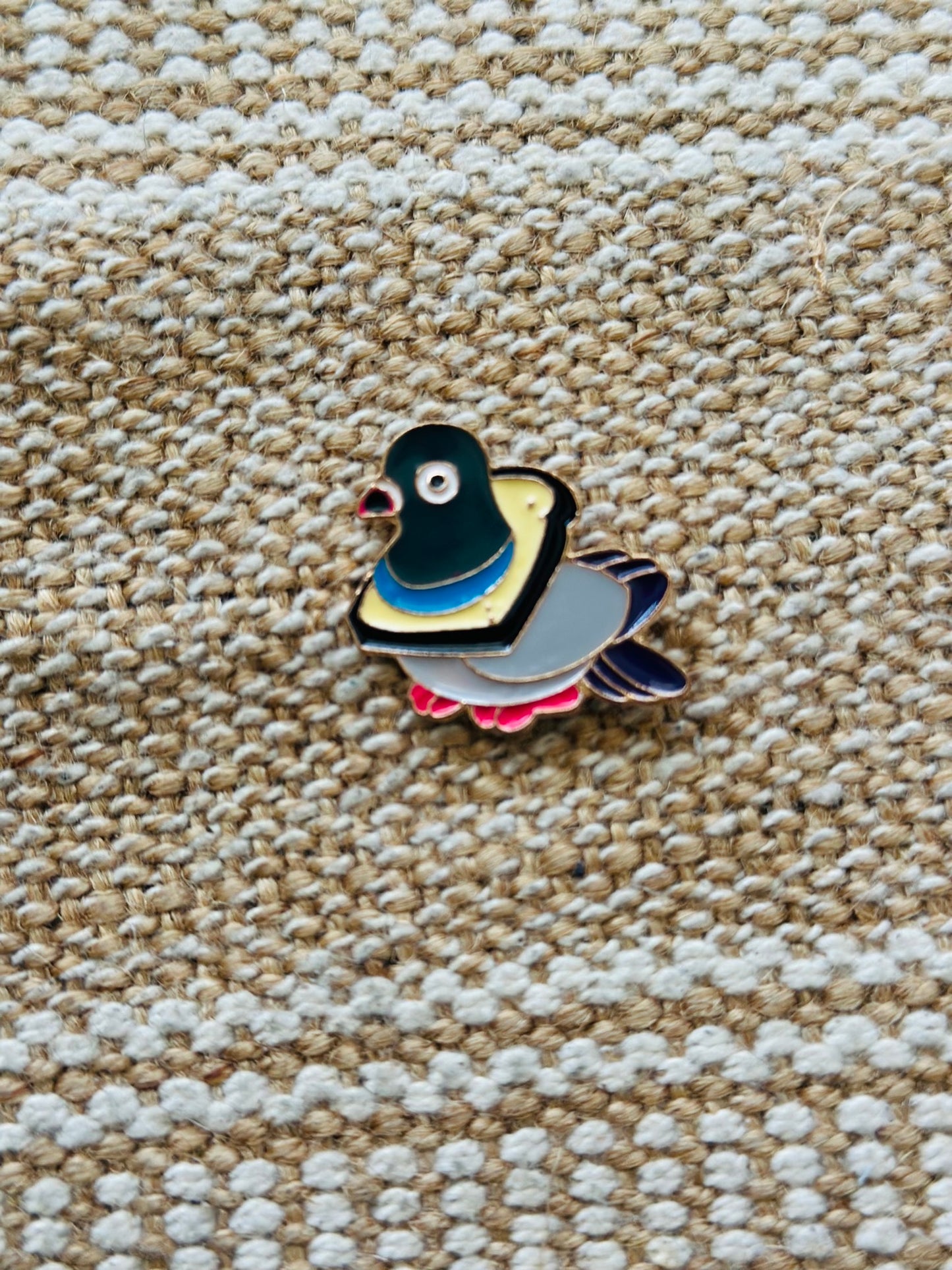 Pigeon!