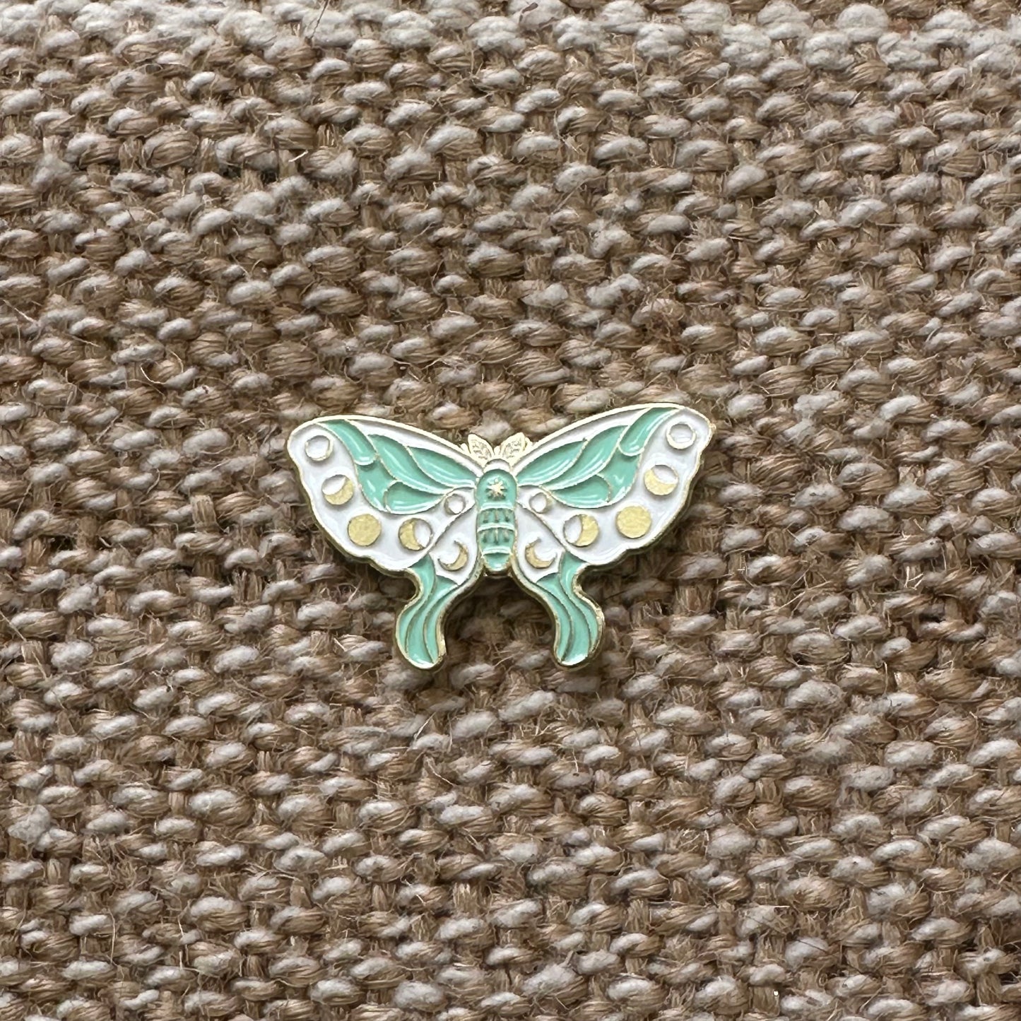 Moths!