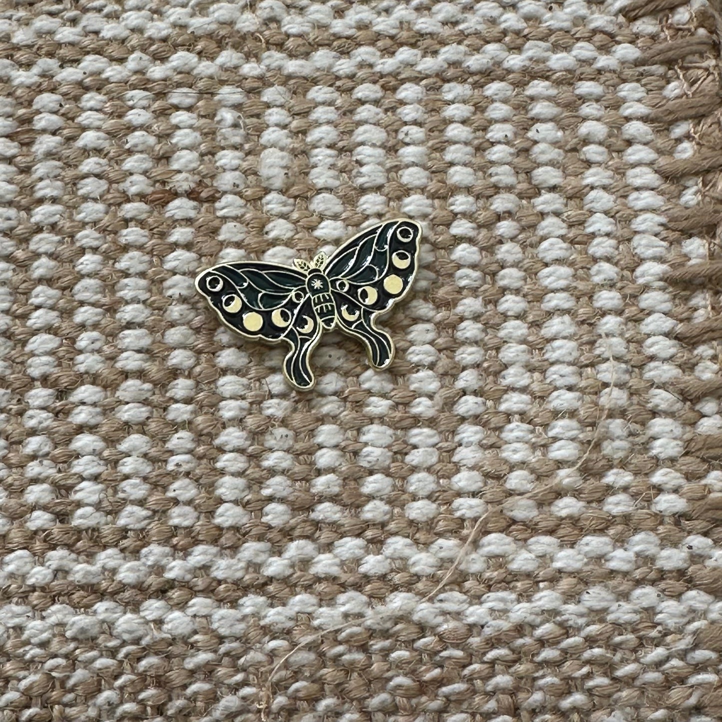 Moths!
