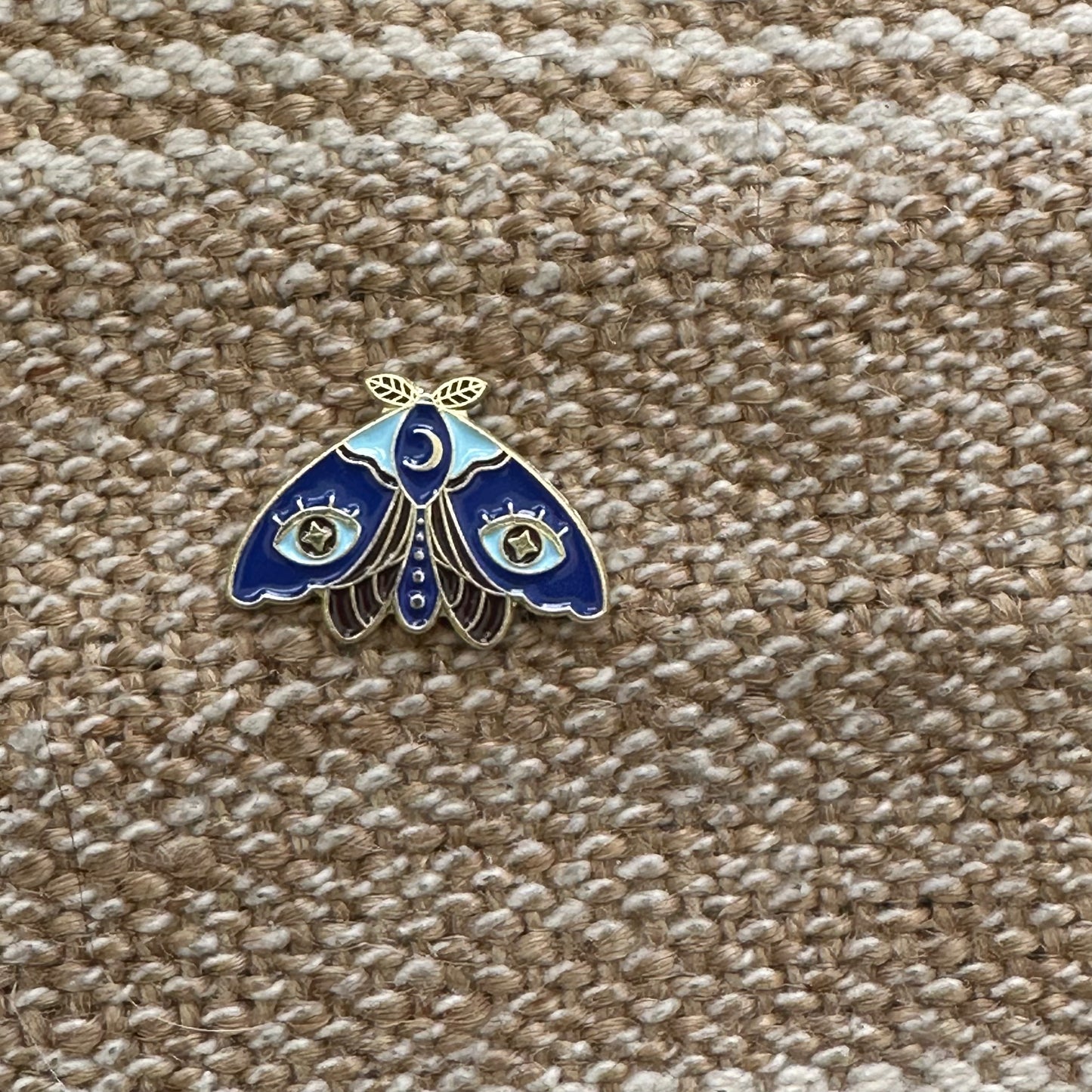 Moths!