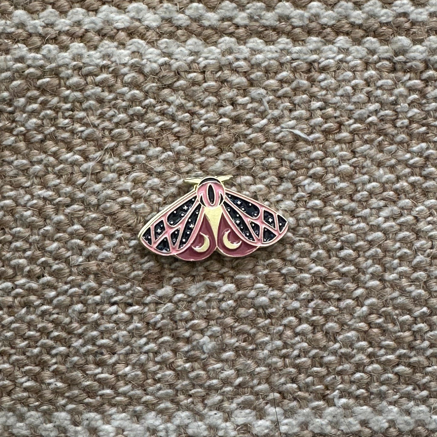 Moths!