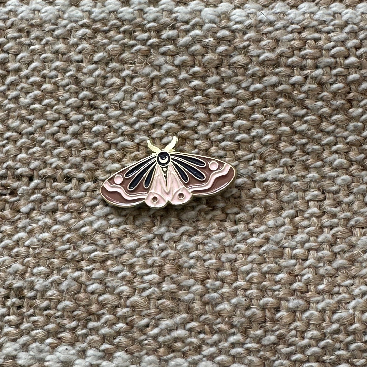 Moths!